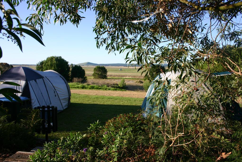 Millicent Hillview Caravan Park Экстерьер фото