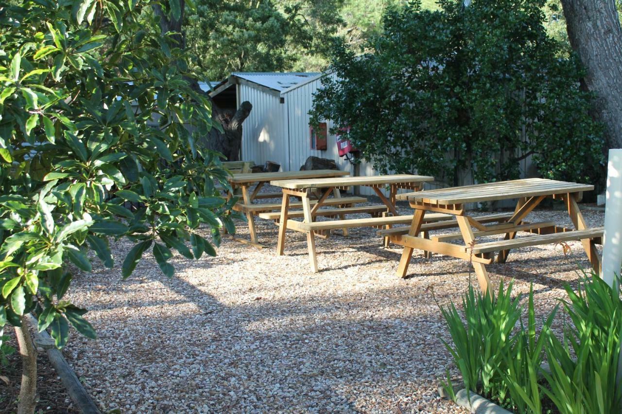 Millicent Hillview Caravan Park Экстерьер фото
